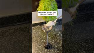 Yıllarca Boşuna Para Vermişiz Şfet