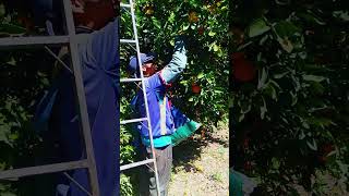 Río piedras. salta . Argentina. 😎