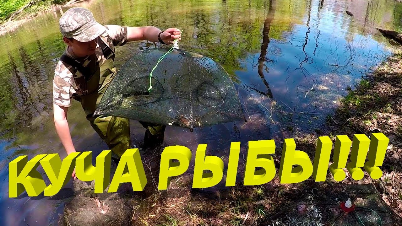 Ловля раков на волге