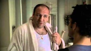 Tony Soprano doesn't care for the blacks