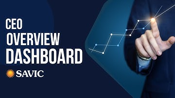 CEO Overview Dashboard | SAVIC Inc |