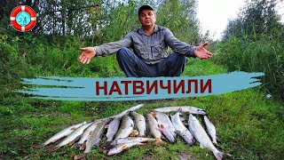 РЫБАЛКА С ПОДПИСЧИКОМ/ НАЛОВИЛИ МНОГО ЩУКИ!!!