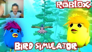 ROBLOX 🐥 KUŞ SiMULASYONU 🐥 KARTAL BİZİ YEME !!! 🐥 BiRD SiMULATOR Türkçe 🐥 ROLEPLAY 🐥 2018