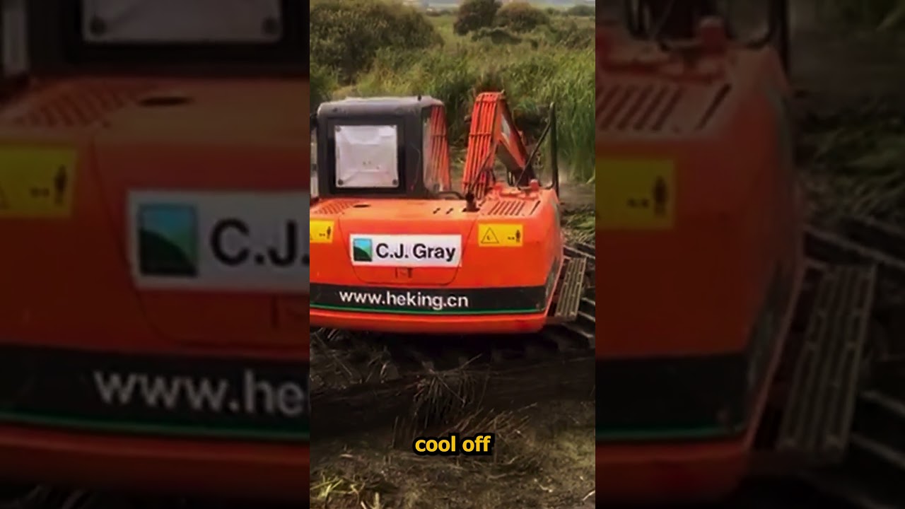 Evolutionary adaptations of the Excavator 💪😤