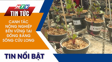 CANH TÁC NÔNG NGHIỆP BỀN VỮNG TẠI ĐỒNG BẰNG SÔNG CỬU LONG