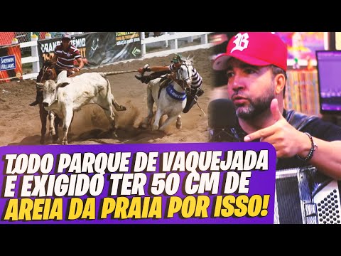 EDYR VAQUEIRO explains WHY the bull doesn't get hurt in the VAQUEJADA!!