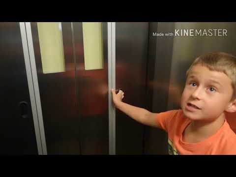 Video: Jaký je nejlepší výtah Hoyer?