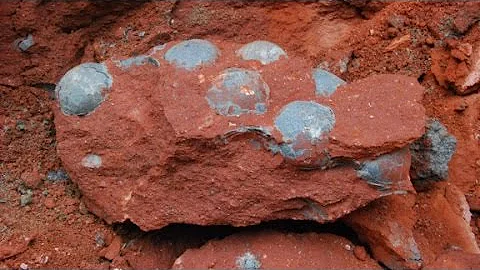 43 fossilized dinosaur eggs found - DayDayNews