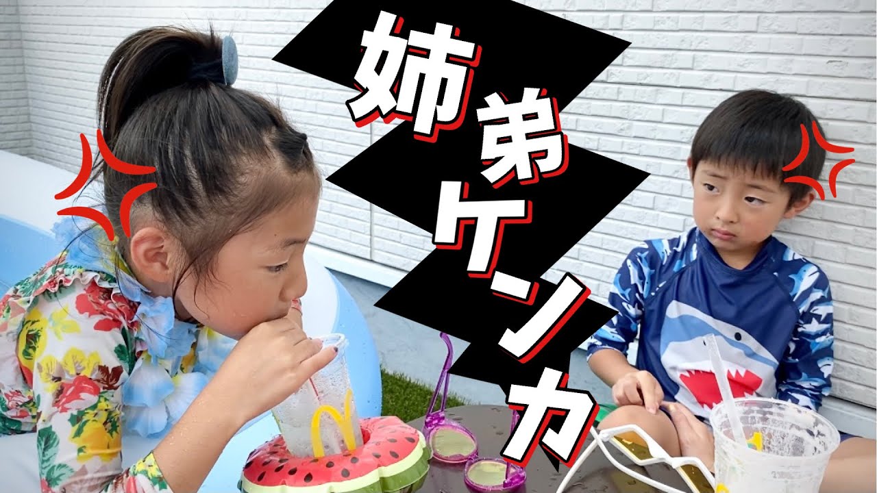 兄弟喧嘩】お家でハワイ旅行！楽しいはすがおもちゃの取り合いで泣い