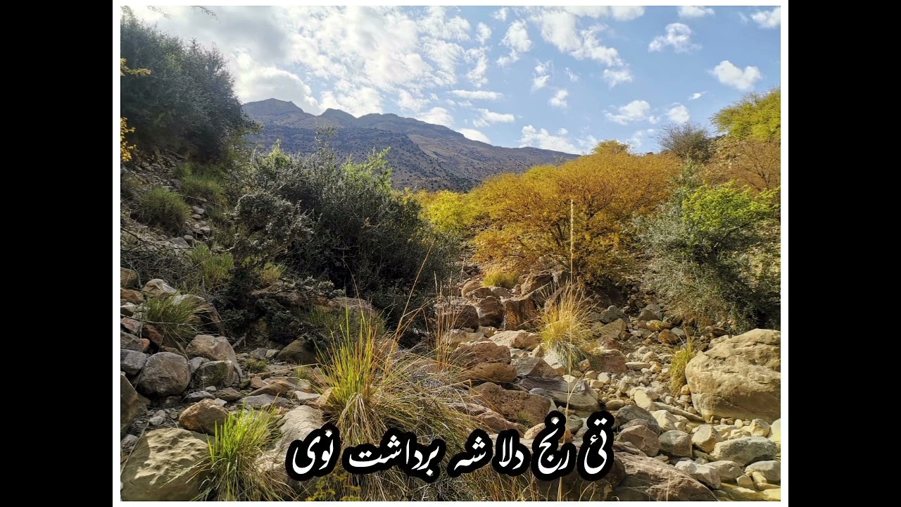 زلماں مہ کن او بے وفا