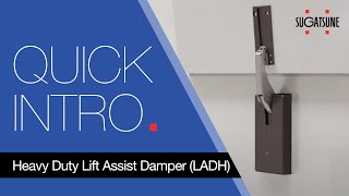 Quick Intro: Heavy Duty Lift Assist Damper (LADH)