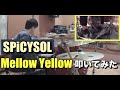 【Mellow Yellow/ SPiCYSOL】 叩いてみた