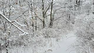 Coffee Break   Standard Equipment