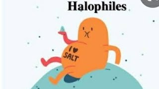 What Is Halophiles? Types Of Halophiles Isolation Techniques For Cultivation Of Halophiles