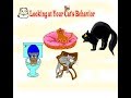 How to Know Your Cat's Age? Looking at Your Cat's Behavior|PART2