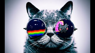 Tracy Chapman - Give Me One Reason - Space Gringo (Legendado)