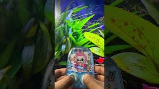 Labubu Water Gamebot #gaming #squidgame #satisfyingvideo #satisfying #toys