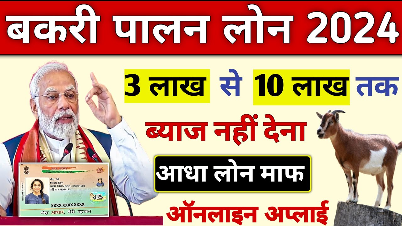 Bakri Palan Business Loan 2024 Goat Forming Loan Rs 4 Lakh To 50 Lakh bakri-palan-business-loan-2024-goat-forming-loan-rs-4-lakh-to-50-lakh