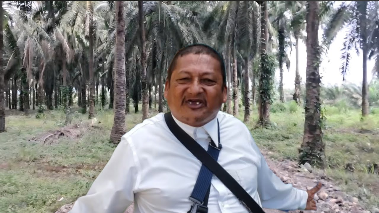 Desde las #Palmeras Del #Apostol Santiago Zuniga 🤭🤭