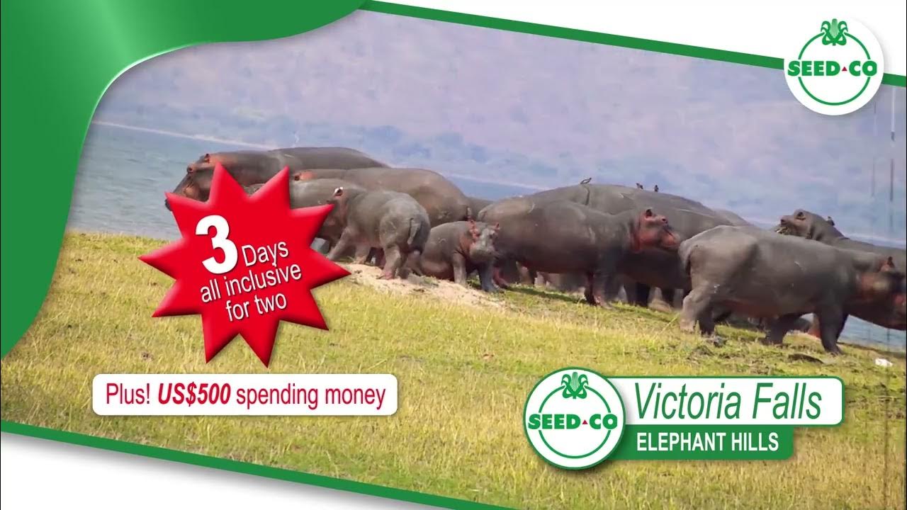 Reap Your Rewards YouTube reap-your-rewards-youtube