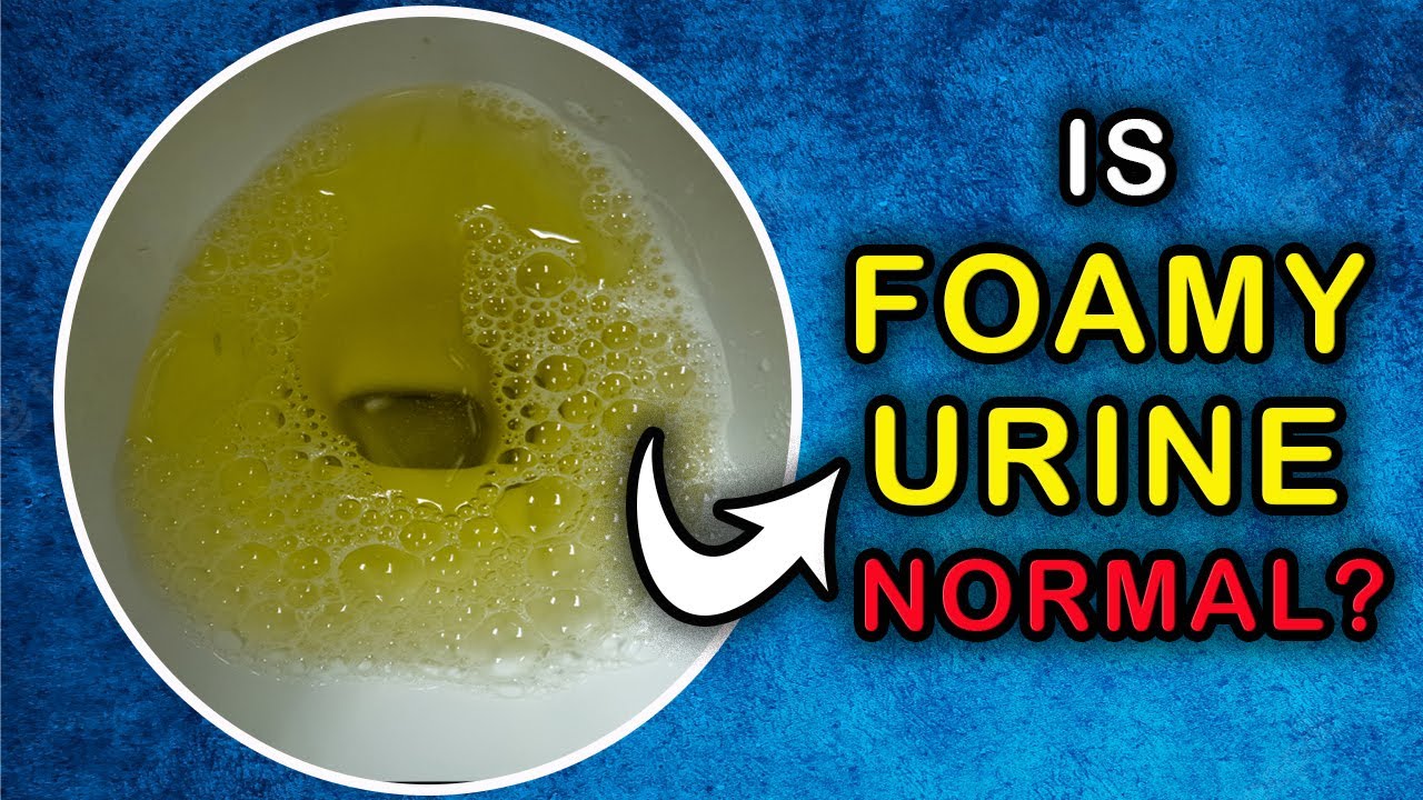 Foam in urine