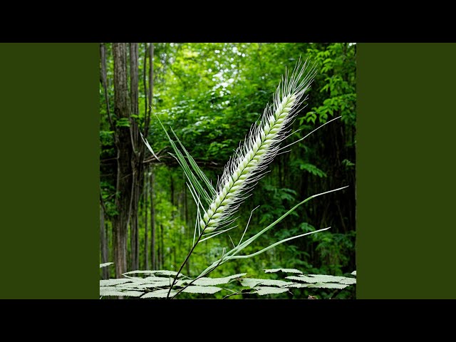 Nature's Elegance 2