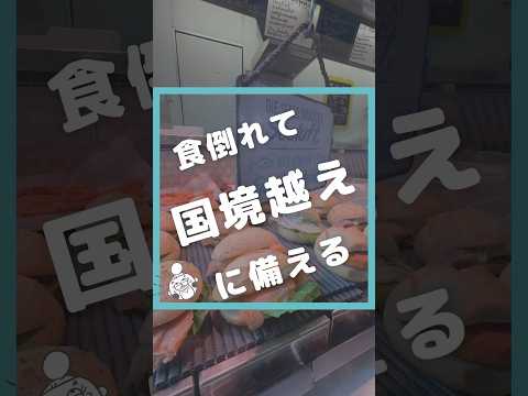 国境越えに備える！1ヶ月ヨーロッパ　キャンピングカーでミニマムに自由に暮らします♩ #自給自足 #家族旅行 #キャンピングカーの旅