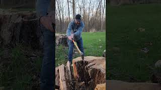 They Don't Call It The Super Splitter For No Reason! #Adler #firewood #supersplitter