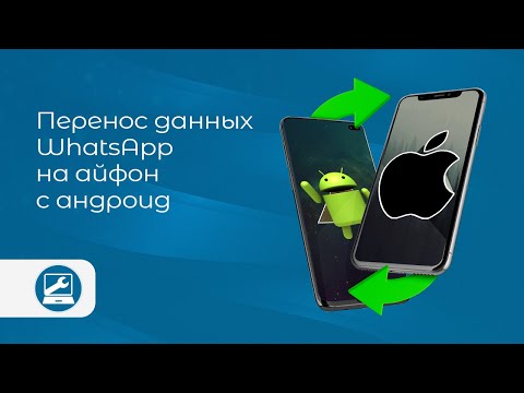 Перенос WhatsApp с Android на iPhone