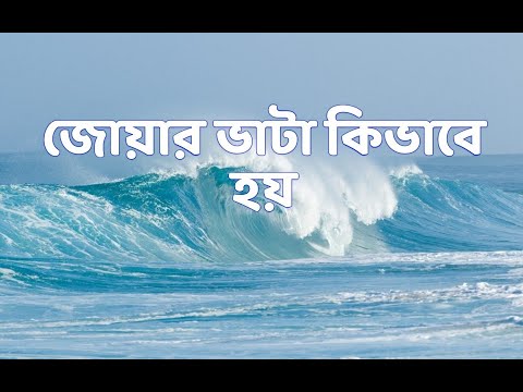 ভিডিও: সাগরের জোয়ারের ধারে?