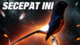 CEPAT TANPA ADA KENDALA‼️INI YANG KEBANYAKAN ORANG MINTA