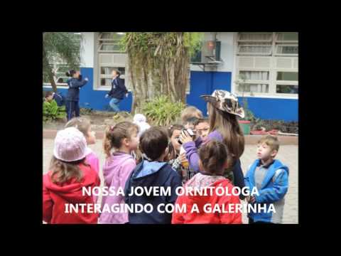 Passarinhando nas Escolas   Escola Heriberto Hulse