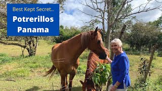 Panama's Best Kept Secret - Potrerillos