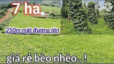 Bán 7 ha vườn ôm 250m mặt đường . Giá 6.5 tỷ ..