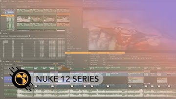 Nuke 12.1 | Bin Version Linking
