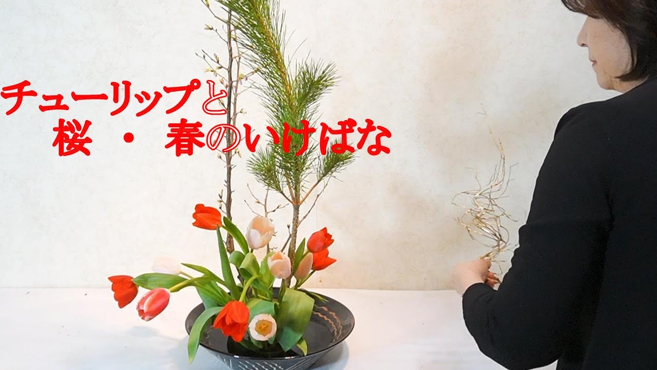 簡単いけばな チューリップ 桜と松と お正月花の後は春のお花 Ikebana Flower Arrangement For New Year And Spring Flower Youtube