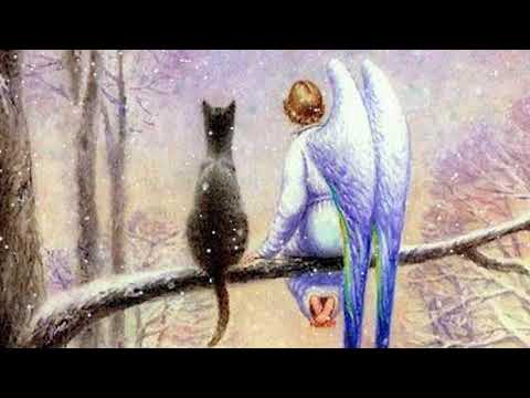 Сказка. Кот и Ангел. Автор: Людмила Соснина. Иллюстрация: Владимир Румянцев. Читает: Павел Ивлюшкин.