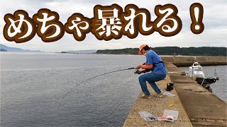 堤防で適当な釣りをしていたらごっついの掛かってあせる～【一生に一度の怪物】