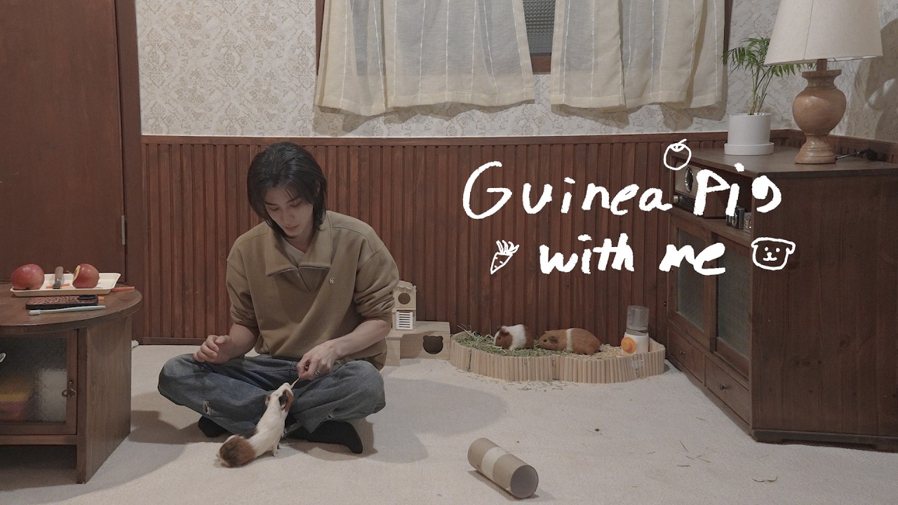 Guinea Pig With Me 🐹ㅣLEEHAN’s Day