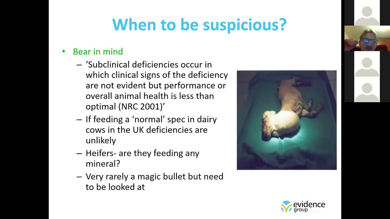 Red Rose Dairy Discussion Group Understanding Feed Supplements and