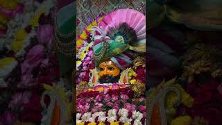 Baba ka mandir...#viral #trendingshorts #khatunaresh #shyambhajan #trendingreels
