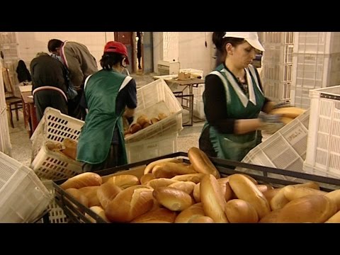 შრომის კულტურა - ანი ვაშაგაშვილის სიუჟეტი