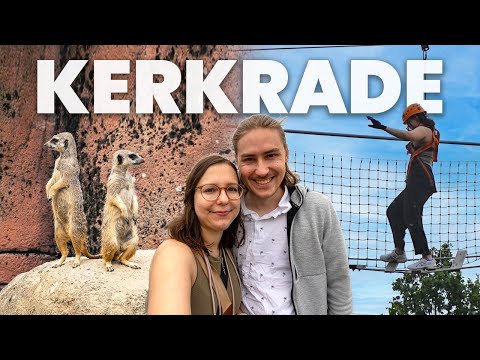 Video: Ein Leitfaden für Sehenswürdigkeiten und Aktivitäten im Zoo von Houston