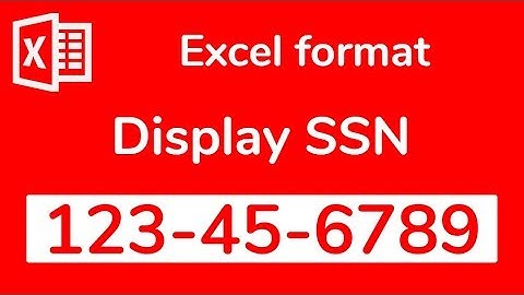 Social Security Numbers in Excel: Hidden trick to display correctly any SSN -Doctor Excel #037