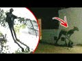 Top 5 REAL Encounters With Terrifying Creatures | Marathon