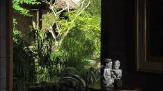 The Tropical Paradise of Made Wijaya part 3 - YouTube