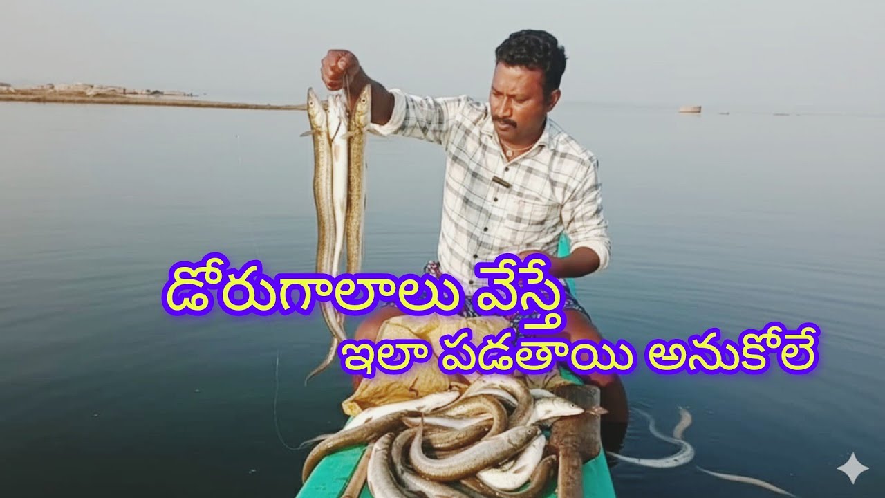 గాళాలకు ఎన్ని పాపర్లు 🐬YATALA SHANKAR VLOGS 🐟 ఈ ఆటల శంకర్ ఫిషింగ్ వీడియో 🐟