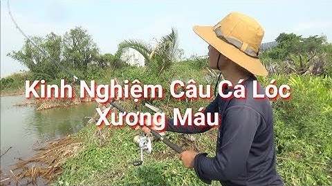 Tiền Bối Chia Sẻ Kinh Nghiệm Câu Cá Lóc Cách Nhìn Cá Thở | Fishing Snakehead