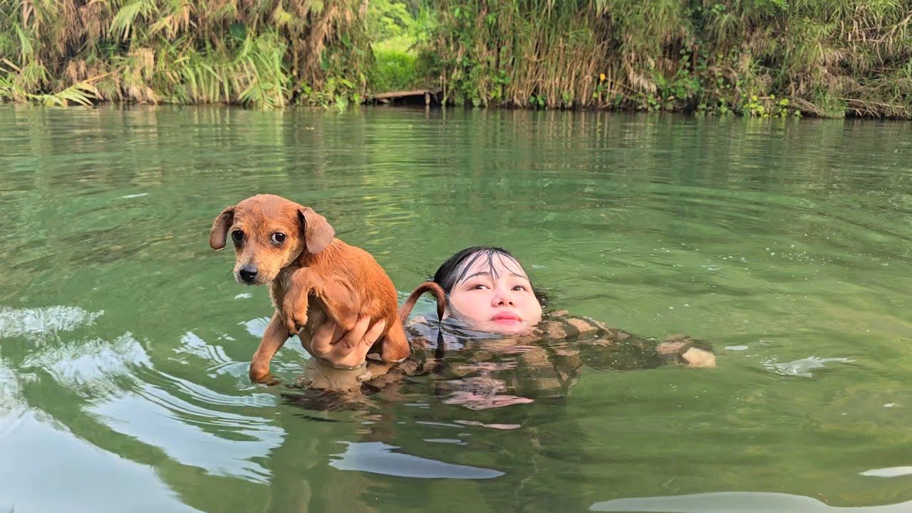 My Mother Swam Like an Otter to Save a Dog | A Mother's Act of Kindness in Vietnam