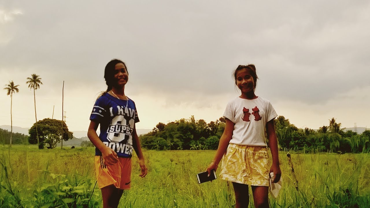 Yuotube Rice Field Video Blog 24 - Rice Fields - YouTube